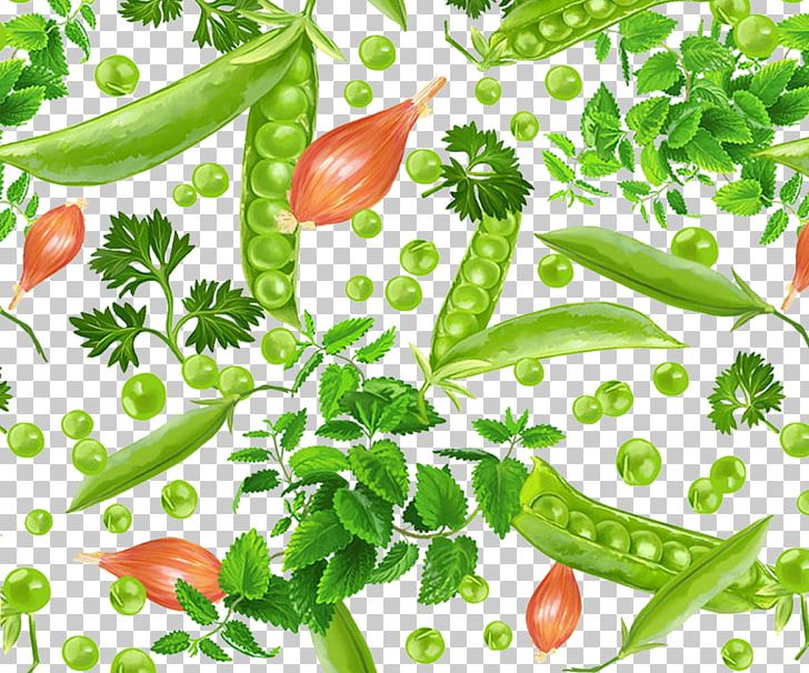 Pea Birds Eye Chili Food PNG, Clipart, Background Green, Bean, Beans, Bell Peppers And Chili Peppers, Food Free PNG Download