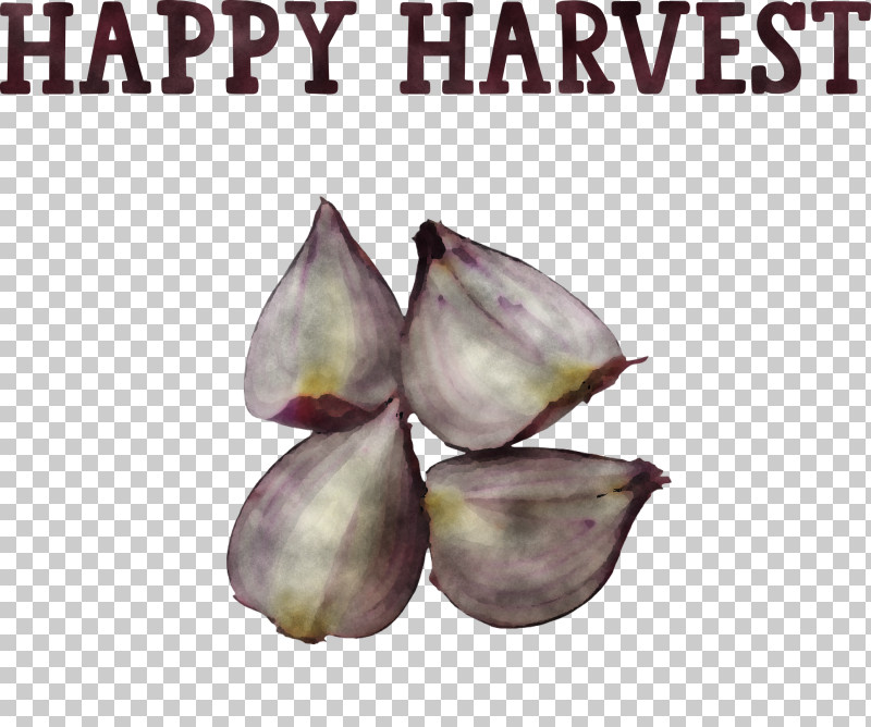 Happy Harvest Harvest Time PNG, Clipart, Croquis, Drawing, Fruit, Happy Harvest, Harvest Time Free PNG Download