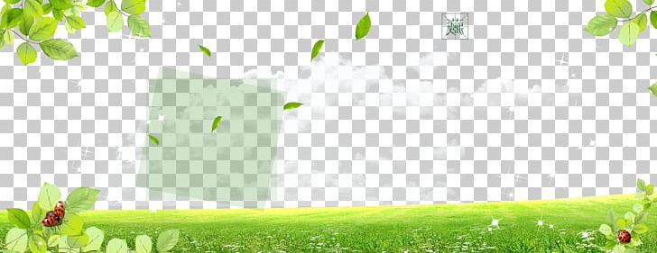 Branch Meadow Lawn PNG, Clipart, Australia Map, Background, Computer, Computer Wallpaper, Download Free PNG Download