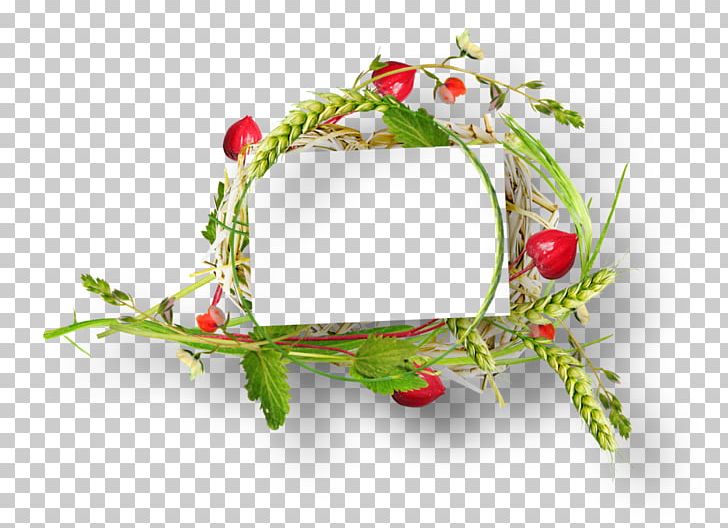 Frames Floral Design Flower PNG, Clipart, Art, Branch, Cereal, Christmas Decoration, Christmas Ornament Free PNG Download