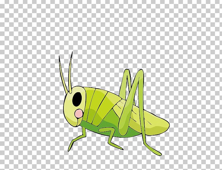 cricket bug clipart kids