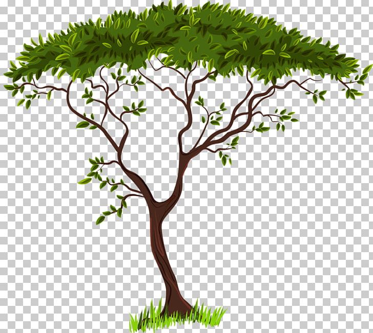 Leaf Branch Plant Stem PNG, Clipart, Blog, Branch, Download, Drawing, Flower Free PNG Download