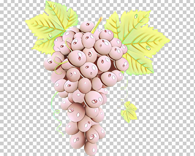 Grape Grapevine Family Pink Vitis Food PNG, Clipart, Food, Fruit, Grape, Grapevine Family, Pink Free PNG Download