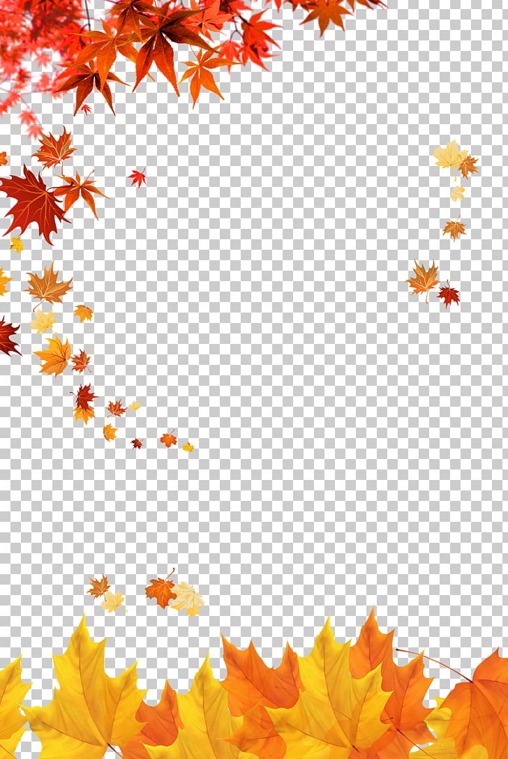 Autumn Poster Zarrin PNG, Clipart, Banana Leaves, Beautiful, Cdr, Deciduous, Design Free PNG Download