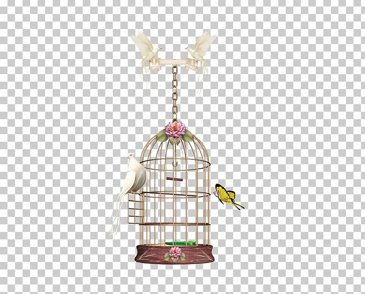 Birdcage Parrot PNG, Clipart, Adobe Illustrator, Basket, Bird, Birdcage Vector, Cage Free PNG Download