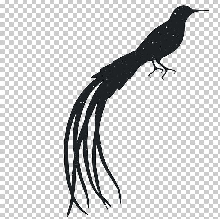 Silhouette Animal Computer File PNG, Clipart, 3d Animation, Animals, Anime Character, Anime Girl, Beak Free PNG Download