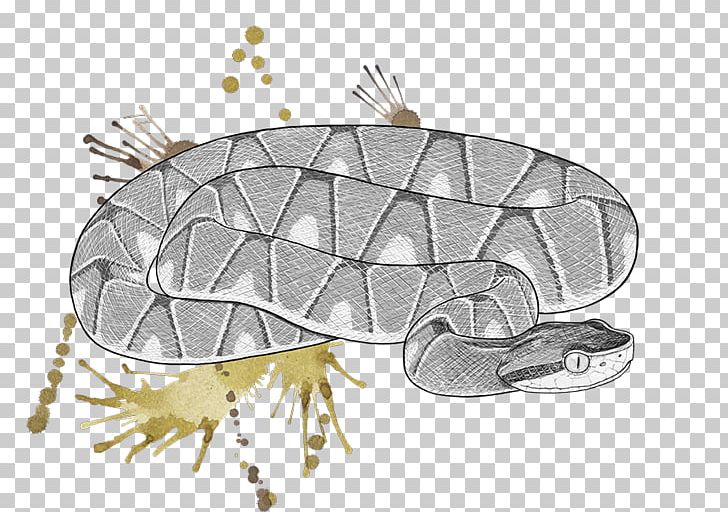 Bothrops Jararaca ACE Inhibitor Pharmaceutical Drug Captopril Venom PNG, Clipart, Adverse Effect, Amphibian, Angiotensinconverting Enzyme, Animal, Bothrops Free PNG Download