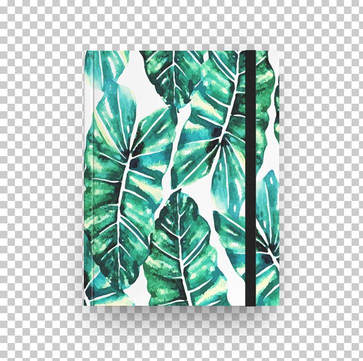 Green Shorts Leaf PNG, Clipart, Green, Leaf, Shorts Free PNG Download