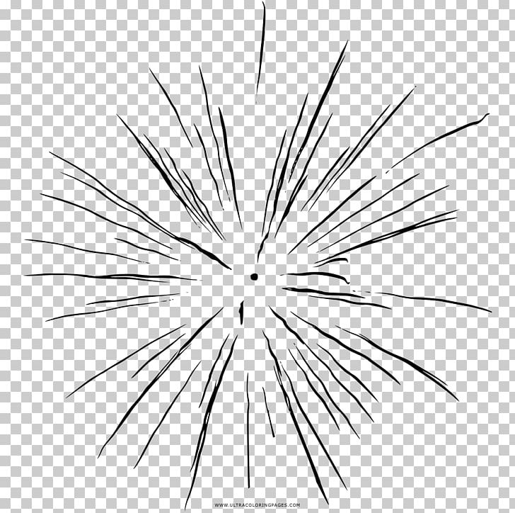 Line Art Drawing Coloring Book Fireworks Black And White PNG, Clipart, Angle, Artwork, Branch, Circle, Coloring Book Free PNG Download