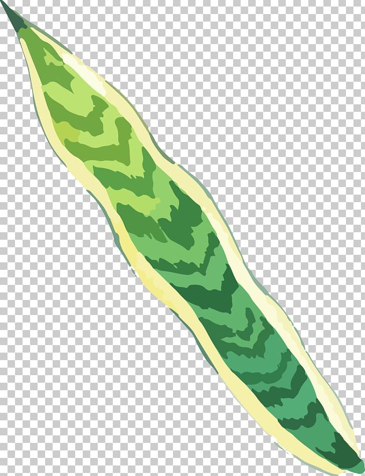 Green Hand Painted Grass PNG, Clipart, Adobe, Background Green, Botany, Cold Weapon, Cover Art Free PNG Download