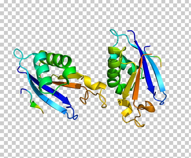 Na-K-Cl Cotransporter Protein Enzyme Gene Na+/K+-ATPase PNG, Clipart, 3 S, Active Transport, Area, Cell, Enzyme Free PNG Download
