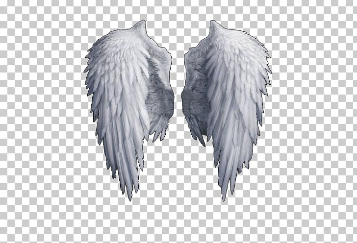 Data Feather Angel PNG, Clipart, Angel, Black And White, Computer Icons, Data, Data Compression Free PNG Download