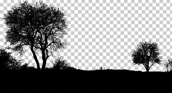 Silhouette Landscape PNG, Clipart, Animals, Black And White, Branch, Cloud,  Computer Wallpaper Free PNG Download
