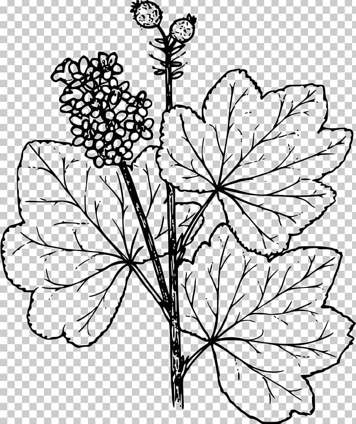 Black And White Drawing Coloring Book Painting Line Art PNG, Clipart, Adult, Art, Black And White, Branch, Brush Free PNG Download