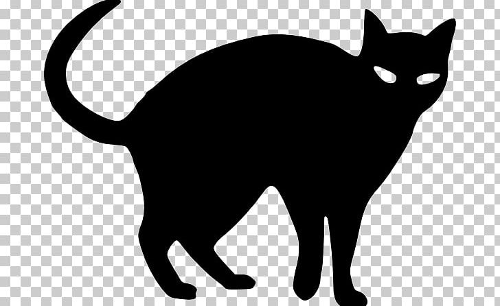 Black Cat Halloween Drawing PNG, Clipart, Animals, Artwork, Black, Black And White, Black Cat Free PNG Download