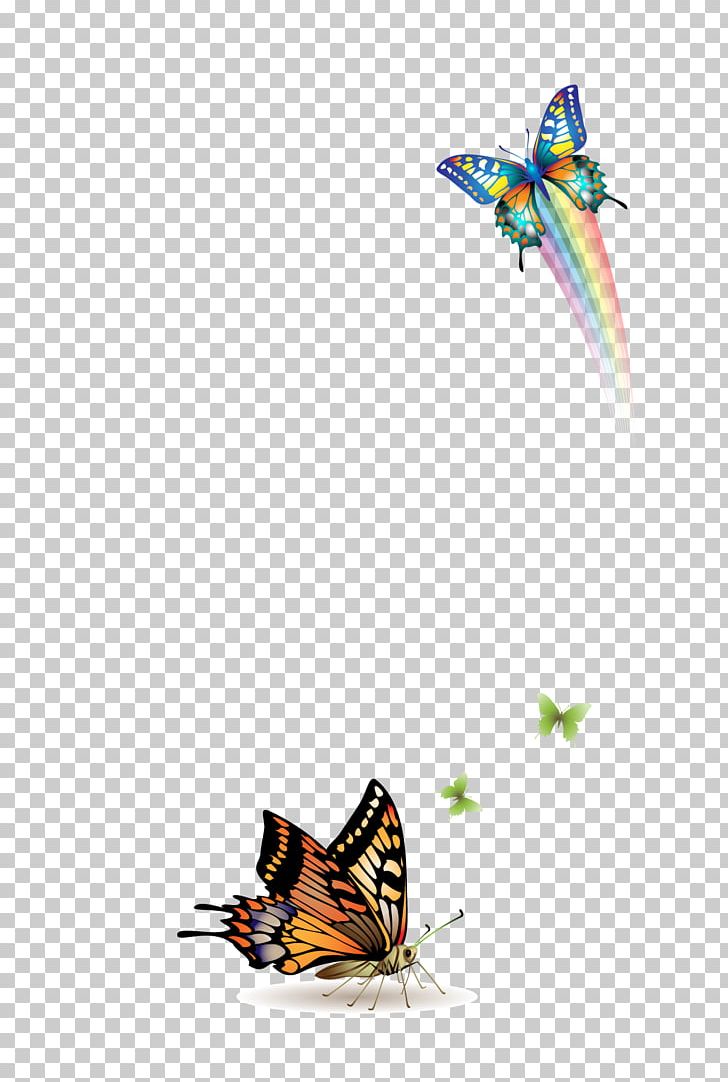 Butterfly Rainbow PNG, Clipart, Butterflies, Butterfly Group, Butterfly Vector, Cartoon, Color Free PNG Download
