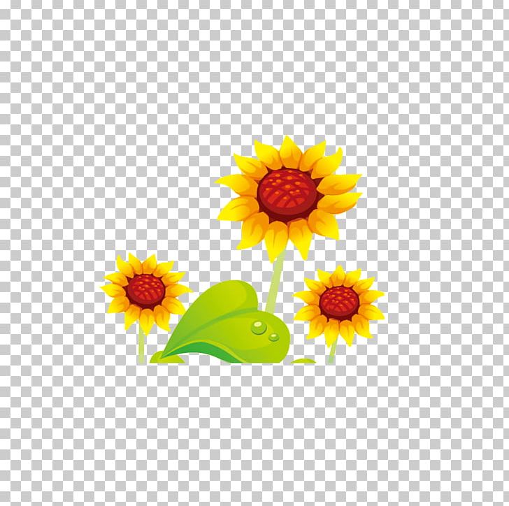 Common Sunflower Cartoon PNG, Clipart, Balloon Cartoon, Chrysanthemum, Chrysanthemum Indicum, Color, Computer Wallpaper Free PNG Download
