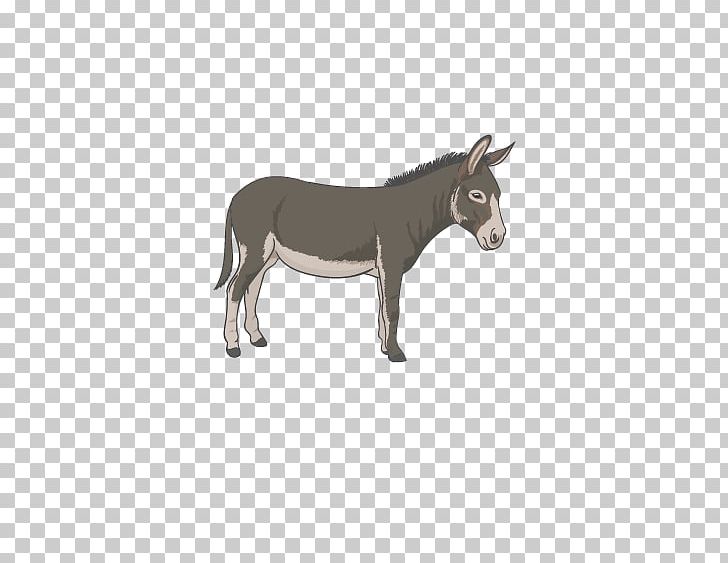 Donkey PNG, Clipart, Animal, Animal Donkey, Animals, Animation, Cartoon Donkey Free PNG Download