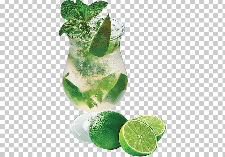 Mojito Cocktail Garnish Lemonade Gin And Tonic PNG, Clipart, Caipirinha, Cocktail, Cocktail Garnish, Drink, Food Drinks Free PNG Download