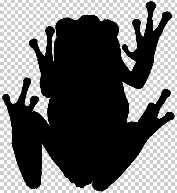 Tree Frog Amphibians Photography Silhouette PNG, Clipart, 2018, Amphibians, Animal, Animals, Black Free PNG Download
