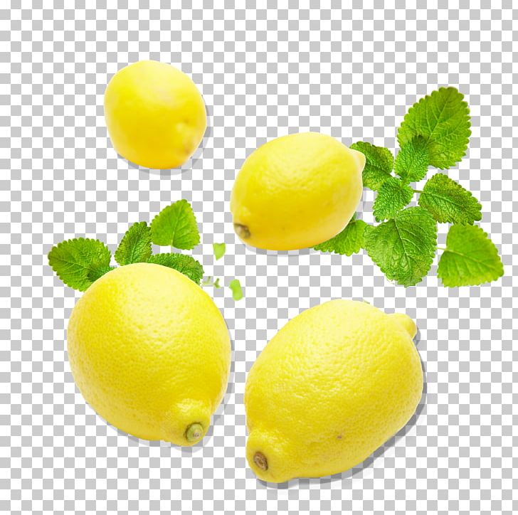 Lemon Citron Lime Citric Acid Yellow PNG, Clipart, Acid, Acid Yellow, Citric Acid, Citron, Citrus Free PNG Download