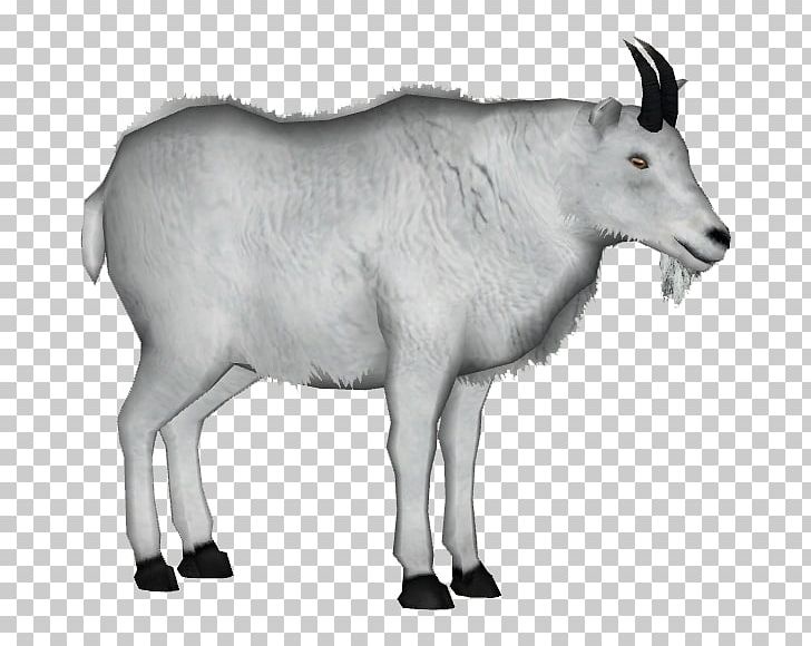 Mountain Goat Sheep Feral Goat Platypus PNG, Clipart, Animal, Animals, Antelope, Caprinae, Cattle Free PNG Download