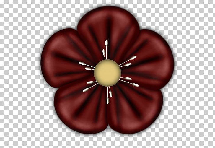 Petal Red PNG, Clipart, Blossom, Button, Circle, Download, Drawing Free PNG Download