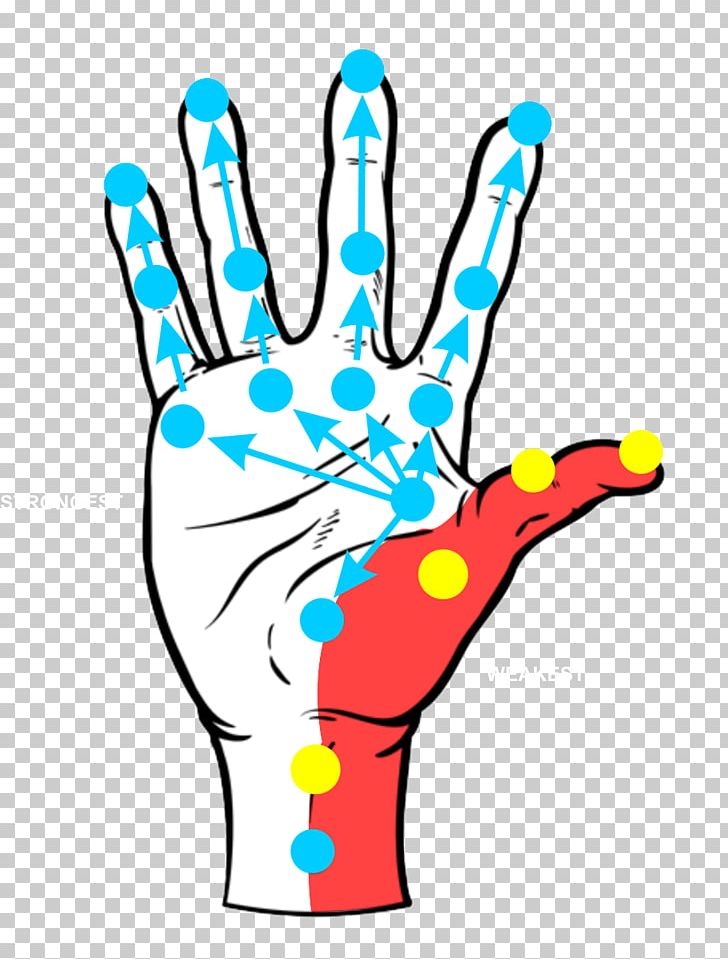 Thumb Hand Carpal Tunnel Art Finger PNG, Clipart, Area, Art, Artwork, Behavior, Carpal Bones Free PNG Download