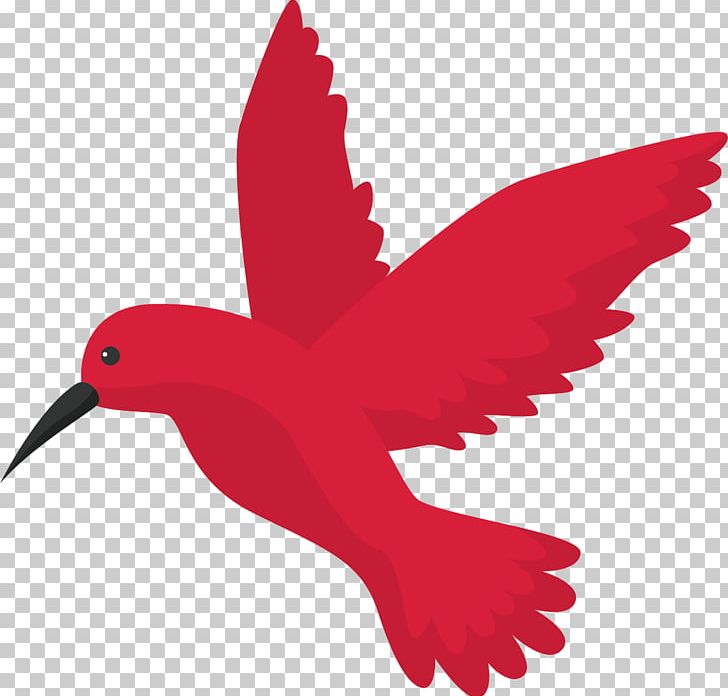 Google Hummingbird Algorithm Search Engine Optimization PNG, Clipart, Beak, Bird, Bird Cage, Birdie, Birds Free PNG Download