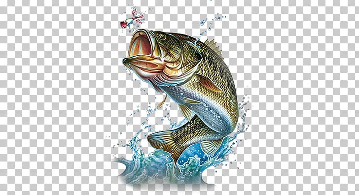 Largemouth Bass Bass Fishing PNG, Clipart, Bass, Bass Fishing, Drawing