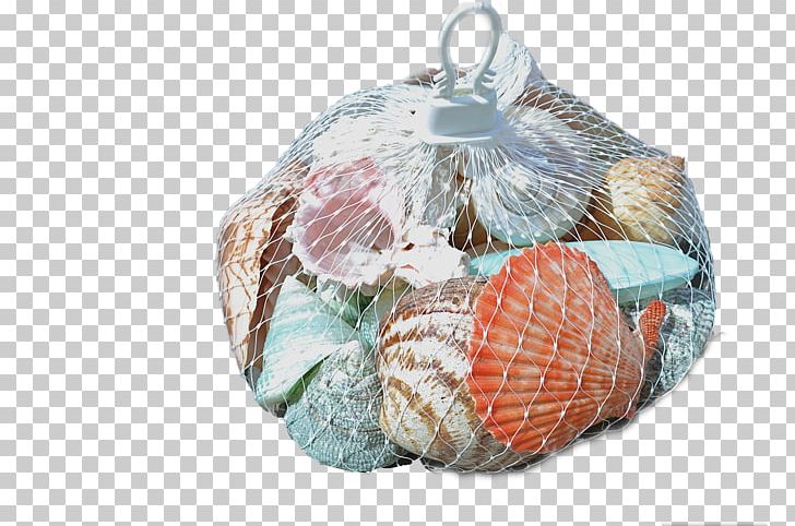 Seashell Plastic Mesh Net Hanger Bag PNG, Clipart, Bag, Beach, Christmas, Christmas Ornament, Christmas Tree Free PNG Download
