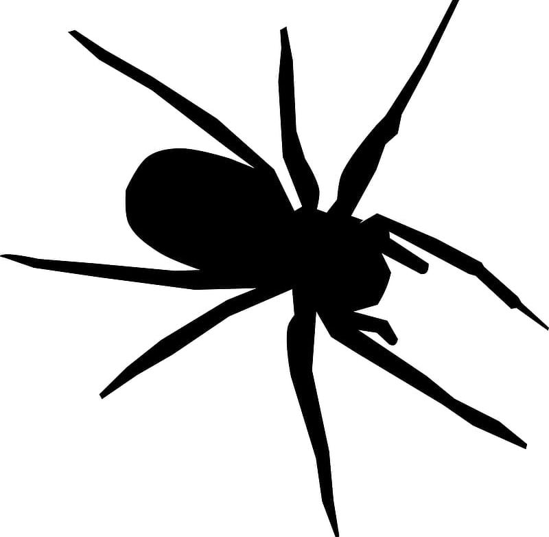 Silhouette PNG, Clipart, Animals, Arachnid, Arthropod, Black And White, Clip Art Free PNG Download