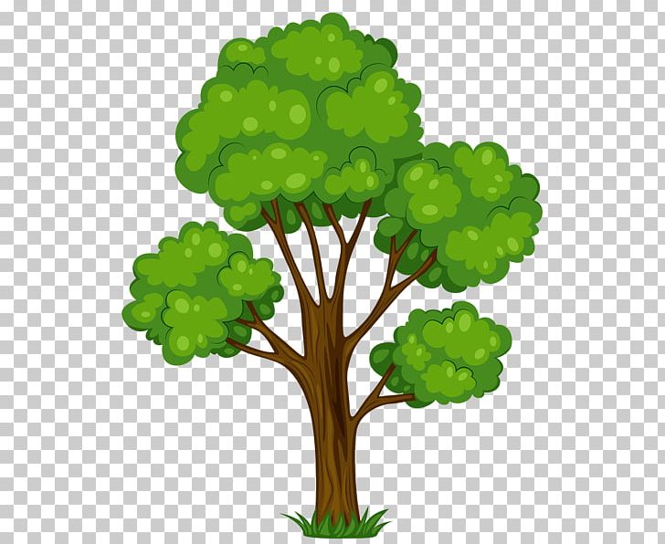 Tree Free Content PNG, Clipart, Blog, Branch, Clip Art, Download, Flowering Plant Free PNG Download