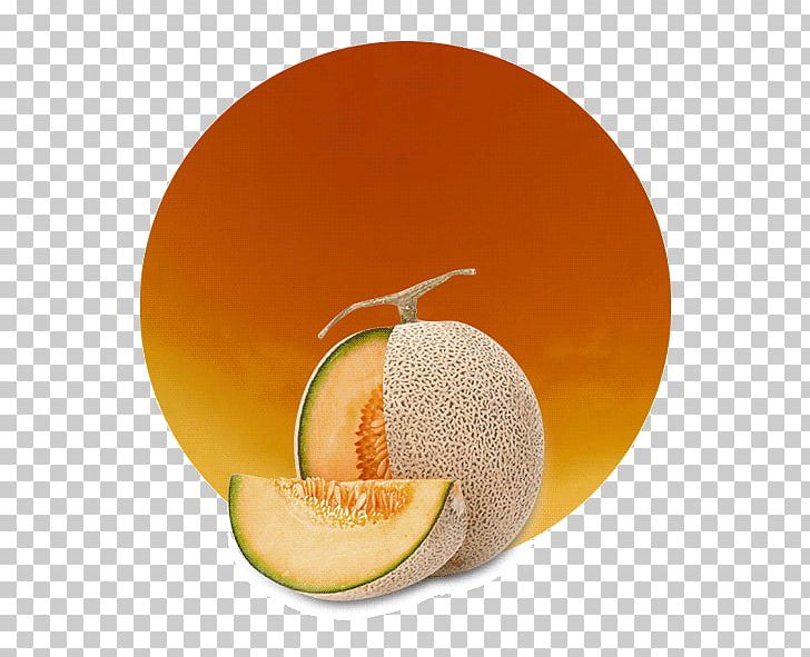 Cantaloupe Juice Vegetarian Cuisine Grapefruit Orange PNG, Clipart, Cantaloupe, Citric Acid, Citrus, Concentrate, Cucumber Gourd And Melon Family Free PNG Download