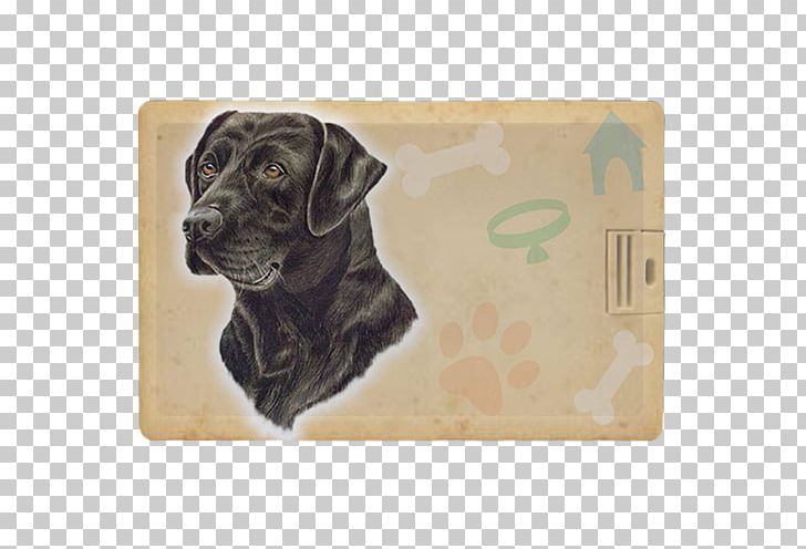Labrador Retriever Puppy Dog Breed Sporting Group PNG, Clipart, Animals, Breed, Brown, Carnivoran, Dog Free PNG Download