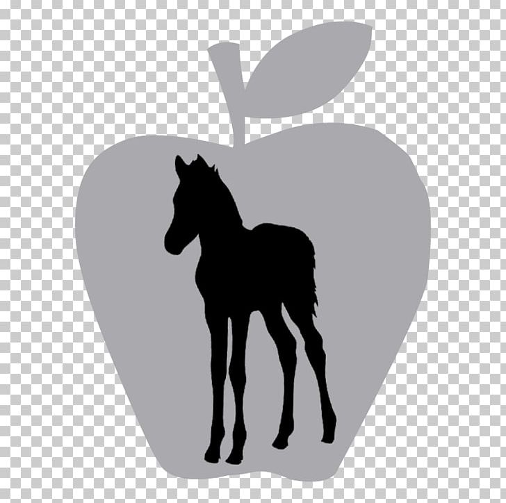 Stallion Foal Colt Mustang Mare PNG, Clipart, Belgian Warmblood, Black, Black And White, Bridle, Colt Free PNG Download