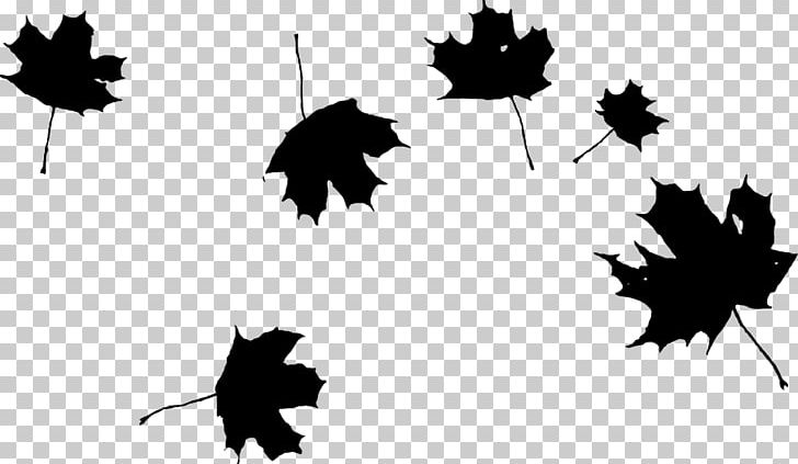 Autumn Leaf Color PNG, Clipart, Autumn, Autumn Leaf Color, Birch, Black, Black And White Free PNG Download