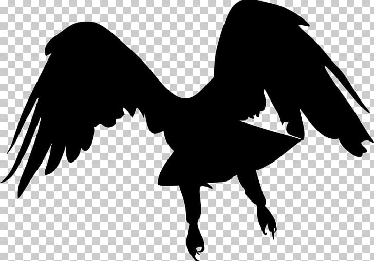 Bird Eagle Finches PNG, Clipart, Animals, Art, Bald Eagle, Beak, Bird Free PNG Download