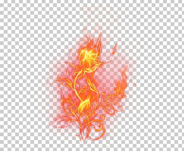 Flame Fire Rose PNG, Clipart, Alpha Compositing, Art, Blue Rose, Combustion, Computer Wallpaper Free PNG Download