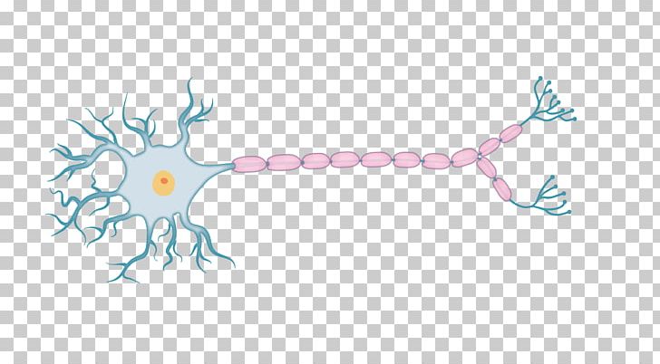 Physiology Drawing Action Potential Organism PNG, Clipart, Action Potential, Animal, Art, Branch, Drawing Free PNG Download