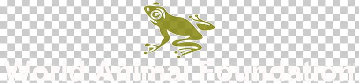 Tree Frog Logo Desktop Font PNG, Clipart, Amphibian, Animal, Animals, Animal World, Companion Free PNG Download