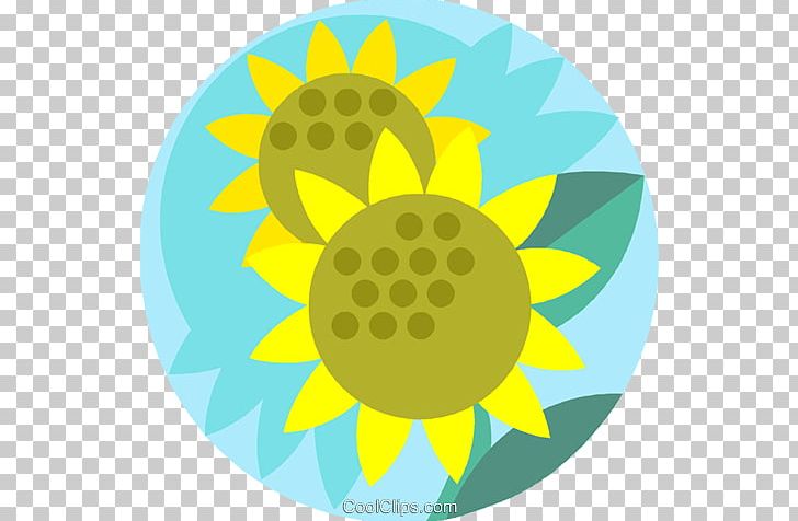 Energy Transformation Photosynthesis Plant Chemical Energy PNG, Clipart, Chemical Energy, Circle, Daisy Family, Energy, Energy Transformation Free PNG Download