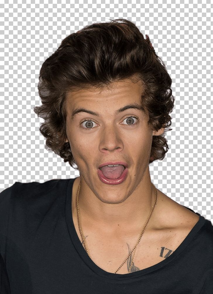 Harry Styles One Direction: This Is Us Hairstyle PNG, Clipart, Black Hair, Brown Hair, Cheek, Chin, Fashion Free PNG Download