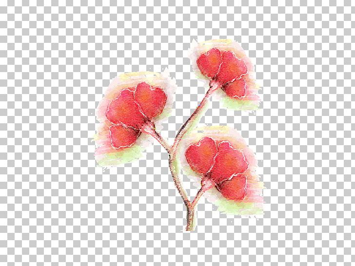 Illustration PNG, Clipart, Blossom, Branch, Chinese Herbaceous Peony, Creative Vector, Encapsulated Postscript Free PNG Download
