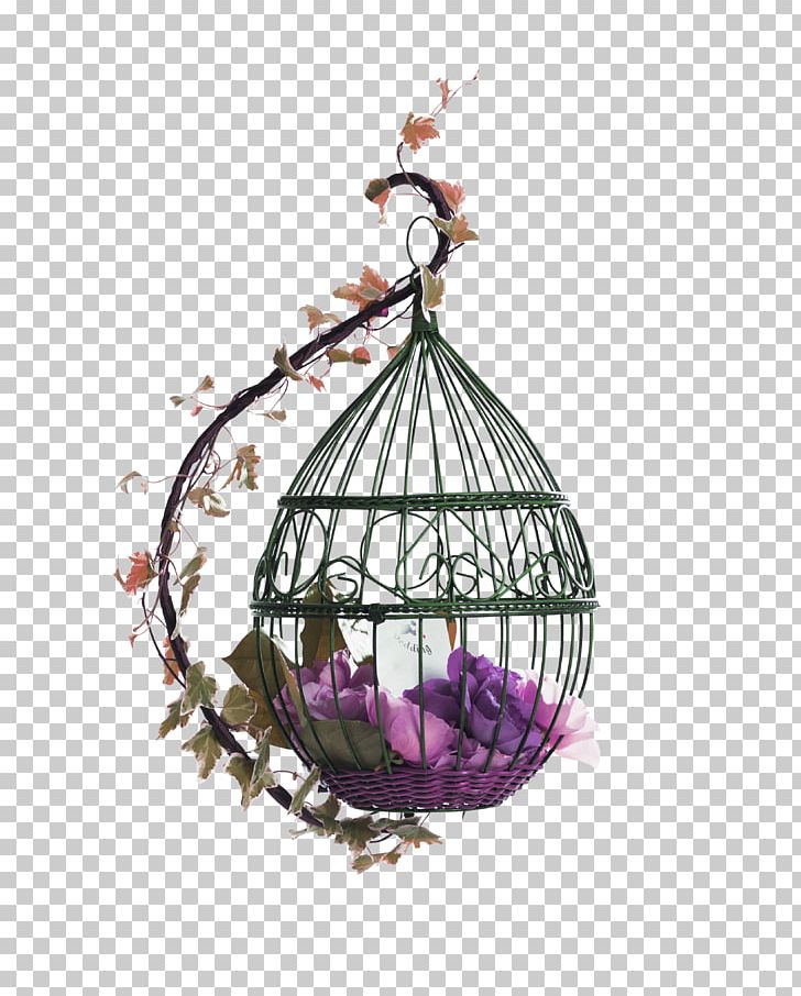Purple Fresh Bird Cage Decoration Pattern PNG, Clipart, Android, Bird, Bird Cage, Cage, Christmas Decoration Free PNG Download