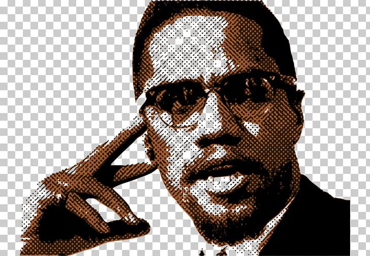 The Autobiography Of Malcolm X African-American Civil Rights Movement African American Hajj PNG, Clipart, African American, Assassination, Autobiography Of Malcolm X, Black Power, Elijah Muhammad Free PNG Download