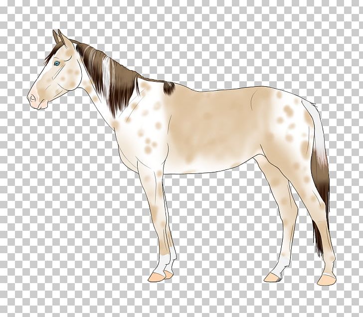 Mule Mustang Stallion Rein Mare PNG, Clipart, Animal Figure, Apparition, Bridle, Colt, Dog Harness Free PNG Download