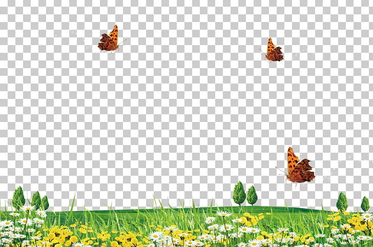 Border Texture Leaf PNG, Clipart, Border, Border Frame, Border Texture, Butterfly, Certificate Border Free PNG Download