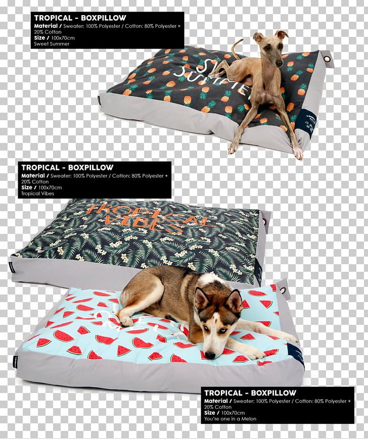 Mattress Bed Frame Let Them Float Cushion PNG, Clipart, Bag, Bed, Bed Frame, Bed Sheet, Bed Sheets Free PNG Download