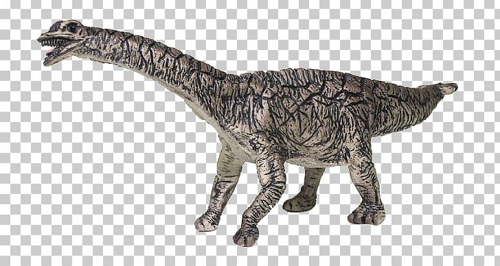 Spinophorosaurus Dinosaur Tyrannosaurus Bullyland Velociraptor PNG, Clipart, Acrocanthosaurus, Animal Figure, Animal Figurine, Apatosaurus, Bullyland Free PNG Download